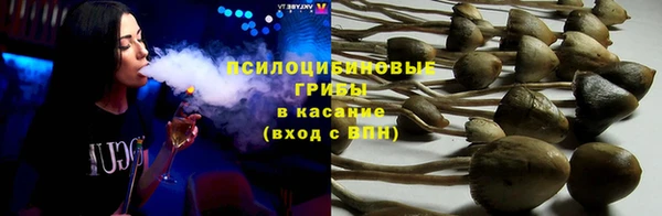 СК Верхний Тагил