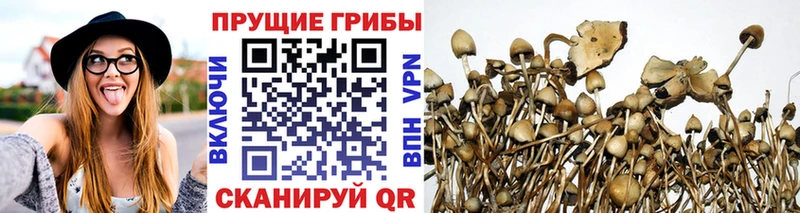 цена наркотик  Казань  Псилоцибиновые грибы ЛСД 